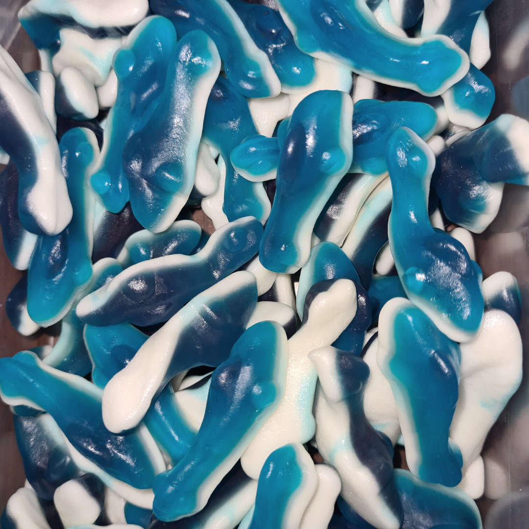 Gummy Sharks